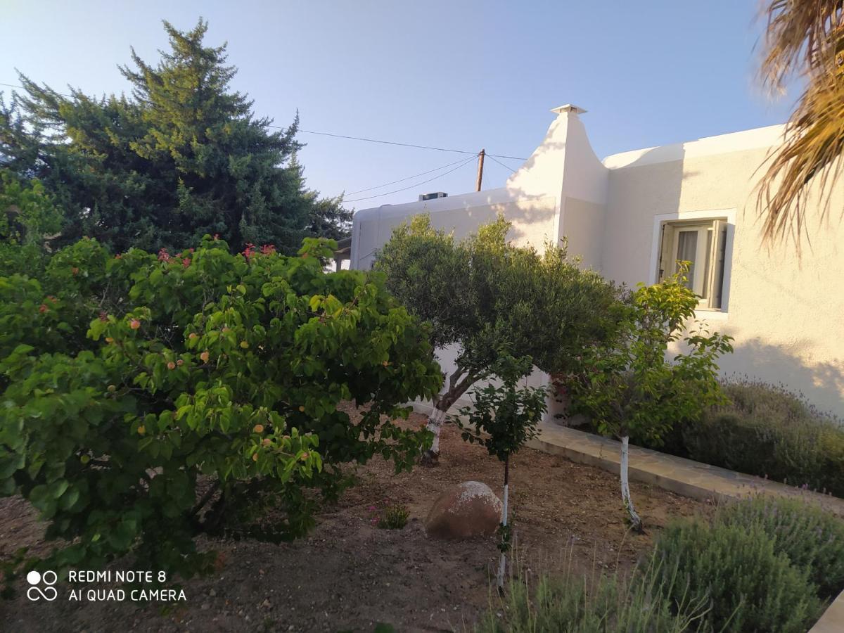 Chaido Studios Plaka  المظهر الخارجي الصورة