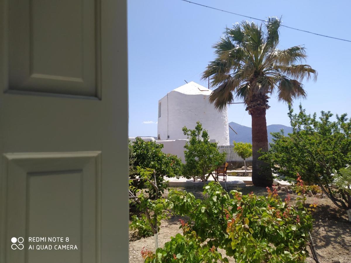 Chaido Studios Plaka  المظهر الخارجي الصورة