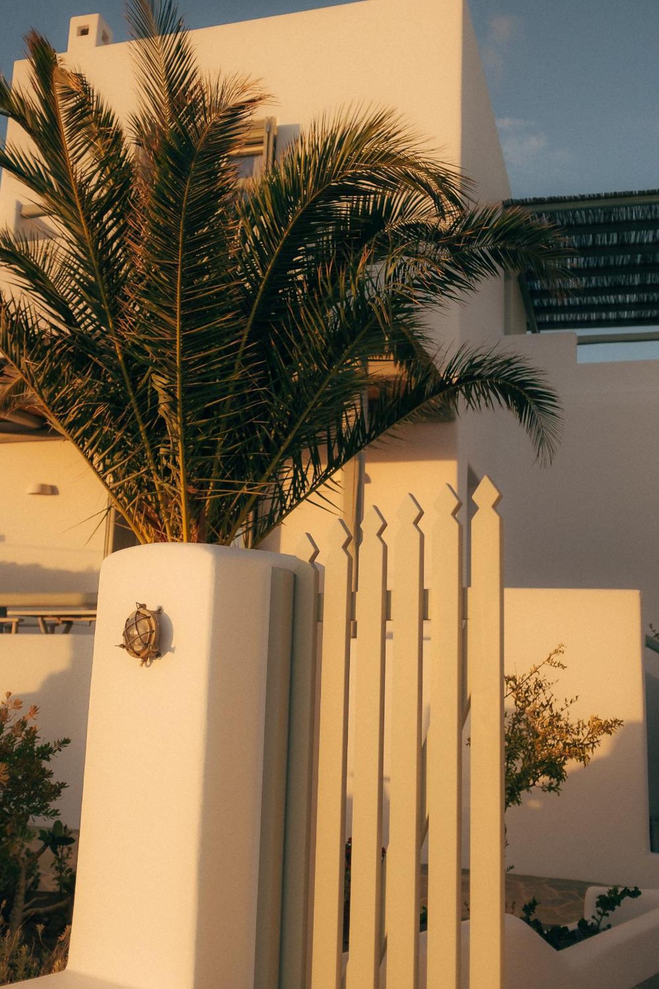 Chaido Studios Plaka  المظهر الخارجي الصورة